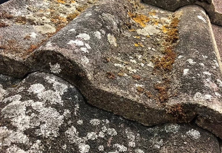 remplacement couverture à Armentières